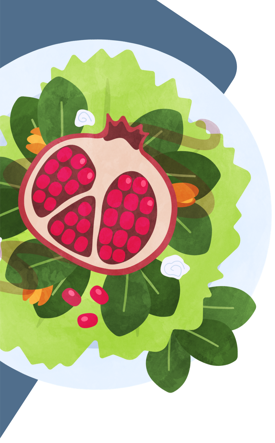 Illustration of Pomegranate Spinach Salad